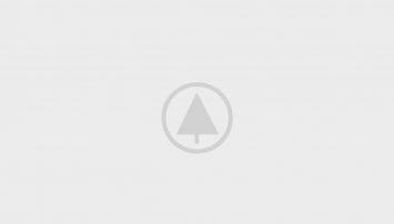 wood-gallery-placeholder wood-gallery-placeholder